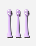 Spotlight Oral Care Sonic Toothbrush Replacement Heads in Morning Lilac, designed exclusively for the Sonic Toothbrush to ensure optimal cleaning performance​